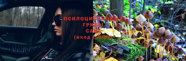 прущая мука Беломорск