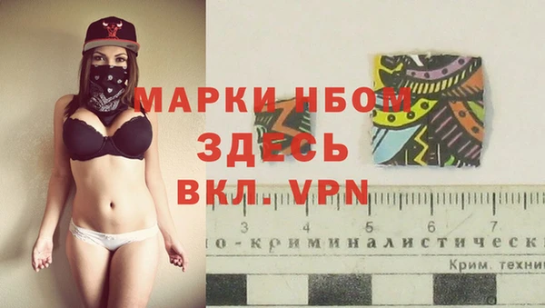 тгк Белокуриха